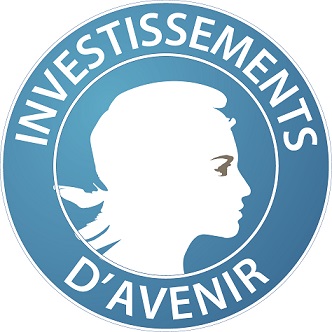 Investissements davenir logo